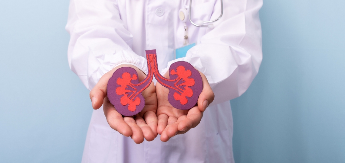 Niewydolność nerek: kluczowe informacje o diagnozie i leczeniu