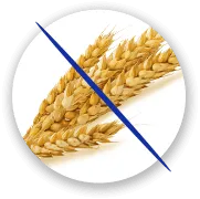 APAP dla dzieci Forte