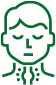 Ikona