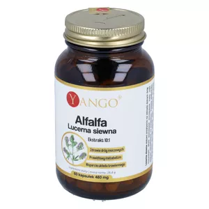 Yango Alfalfa (Lucerna siewna), 60 kapsułek