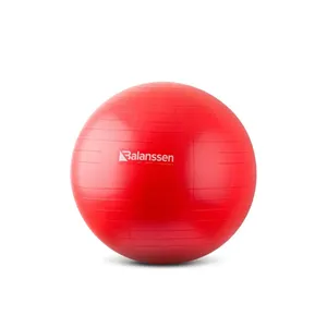 Bifarm - Balanssen ABS Gym Ball 65, czerwona piłka do ćwiczeń, 1 sztuka