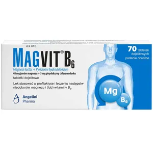 Magvit B6 48 mg + 5 mg, 70 tabletek dojelitowych