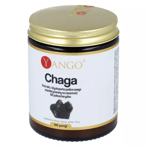 Yango Chaga, proszek, 50 g