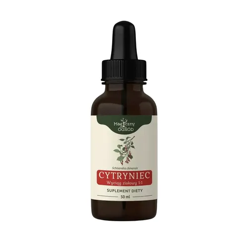 Nanga Cytryniec chiński, nalewka, 1:1, 50 ml