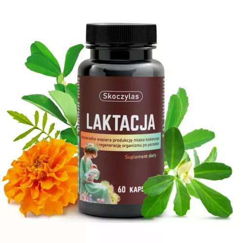 Skoczylas Laktacja dla kobiet karmiących, 60 kapsułek
