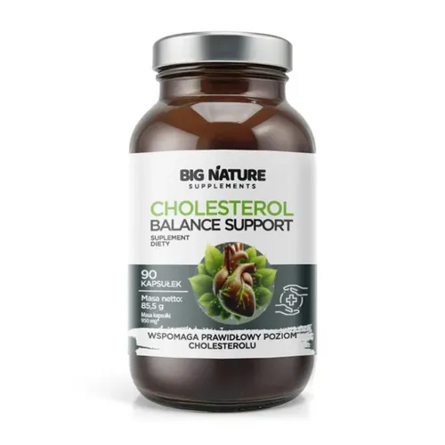 Big Nature Cholesterol Balance, 90 kapsułek
