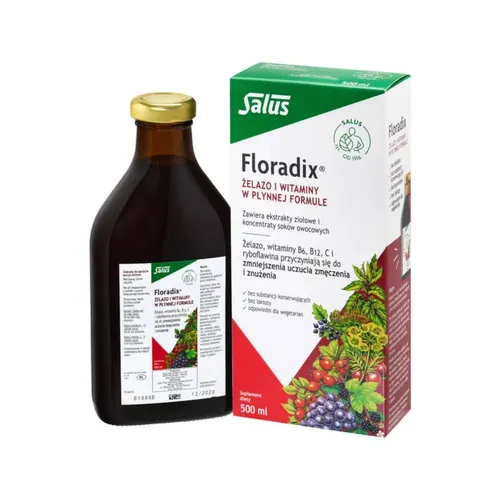 Floradix Esencja Dnia, 250 ml