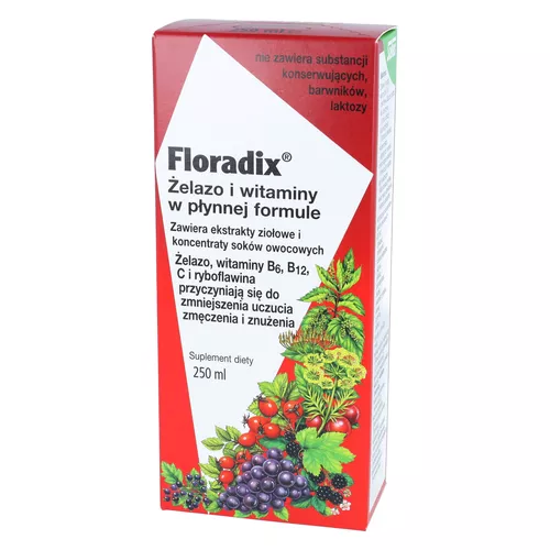 Floradix Żelazo i witaminy, tonik, 250 ml